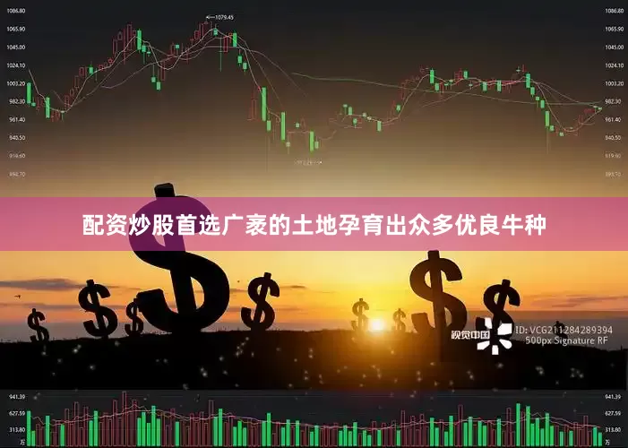 配资炒股首选广袤的土地孕育出众多优良牛种