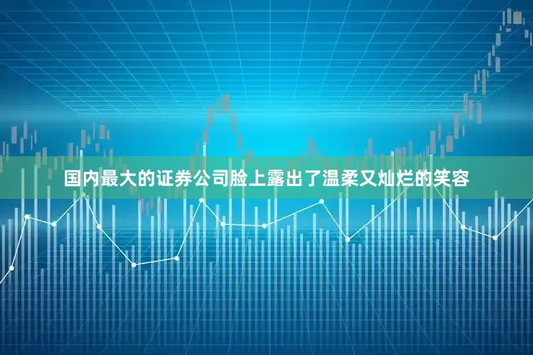 国内最大的证券公司脸上露出了温柔又灿烂的笑容