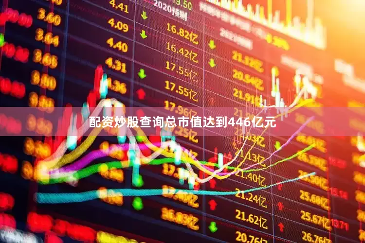 配资炒股查询总市值达到446亿元